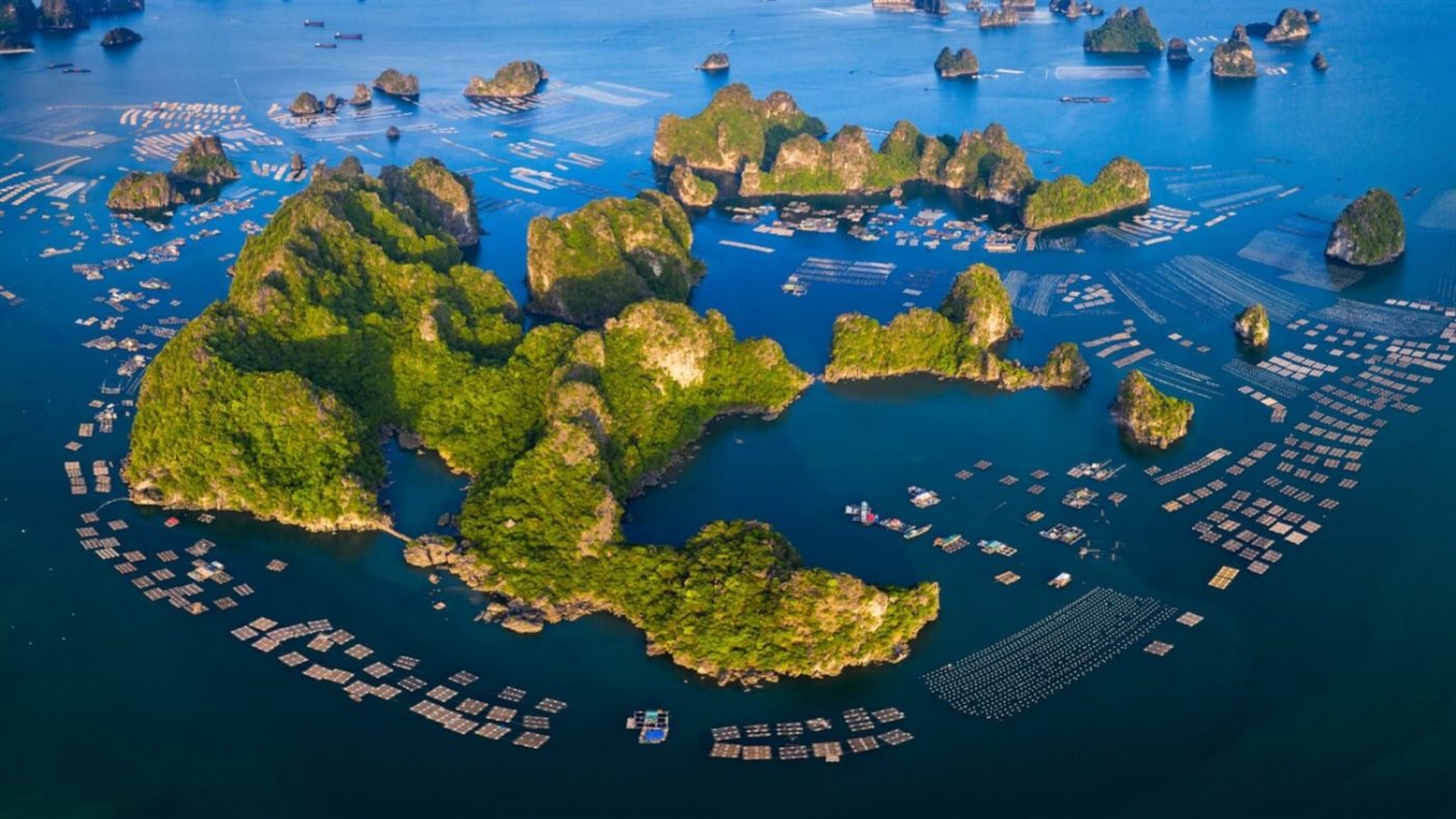 Công Ty Cổ Phần Phát Triển Du Lịch Và Truyền Thông Hà Nội